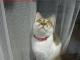 Mimi